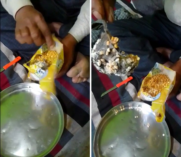 Rat in a Packet of Lentils सरकारी डिपो की चने की दाल के पैकेट में मिला मृत चूहा