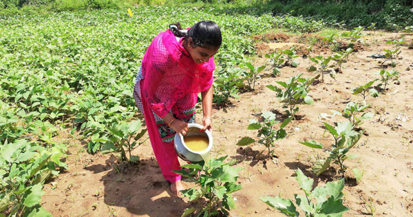 Natural Farming प्राकृतिक खेती में देश का प्रतिनिधित्व कर सकते हैं एचपी के किसान: गवर्नर