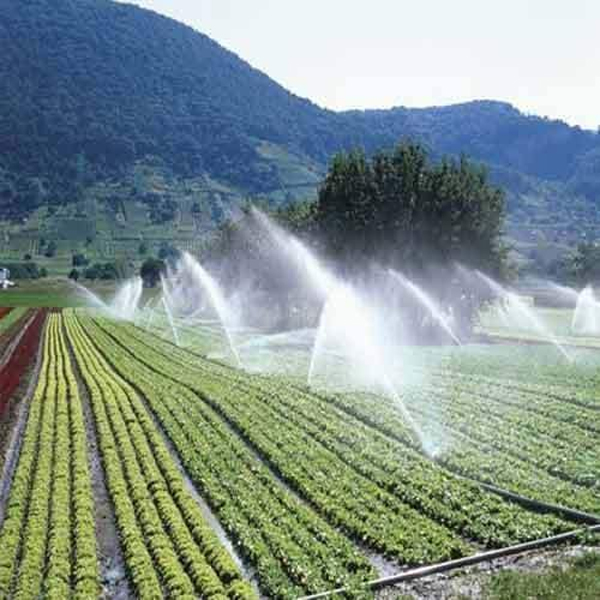 Irrigation Scheme धर्मपुर विधानसभा क्षेत्र में जल्द शुरू होगा 4 सिंचाई योजनाओं का काम