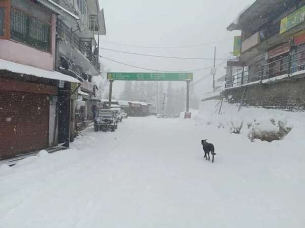 Snow हिमाचल में फिर बर्फबारी