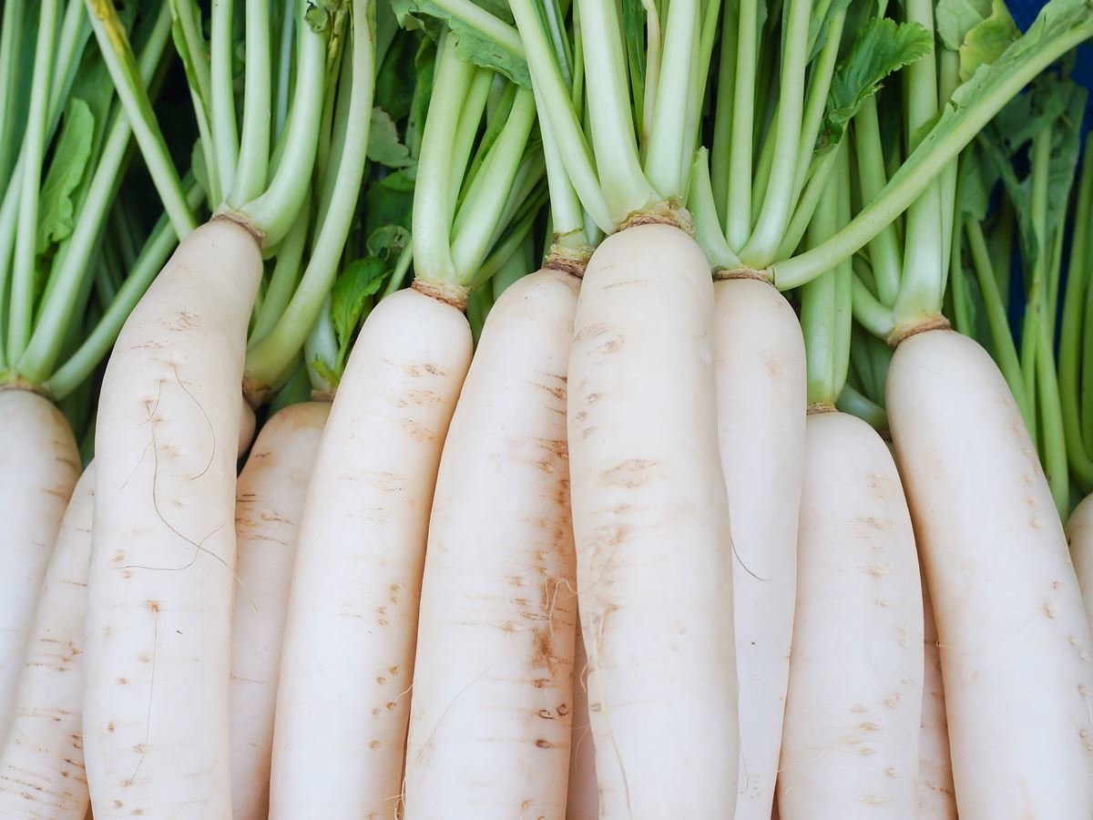 Benefits Of Radish : कब्ज काे दूर करती है मूली, मूली के और भी हैं फायदे, जानिए क्या