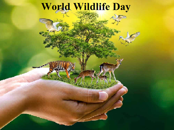 Wildlife Day पक्षी महोत्सव जैसी गतिविधियों का आयोजन हो: गवर्नर