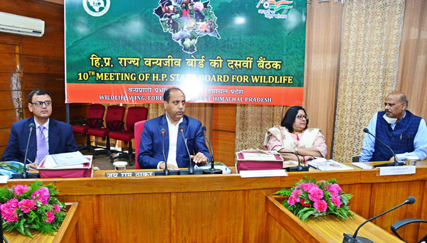 10th Meeting of State Wildlife Board एचपी सीएम ने की राज्य वन्य प्राणी बोर्ड की 10वीं बैठक की अध्यक्षता