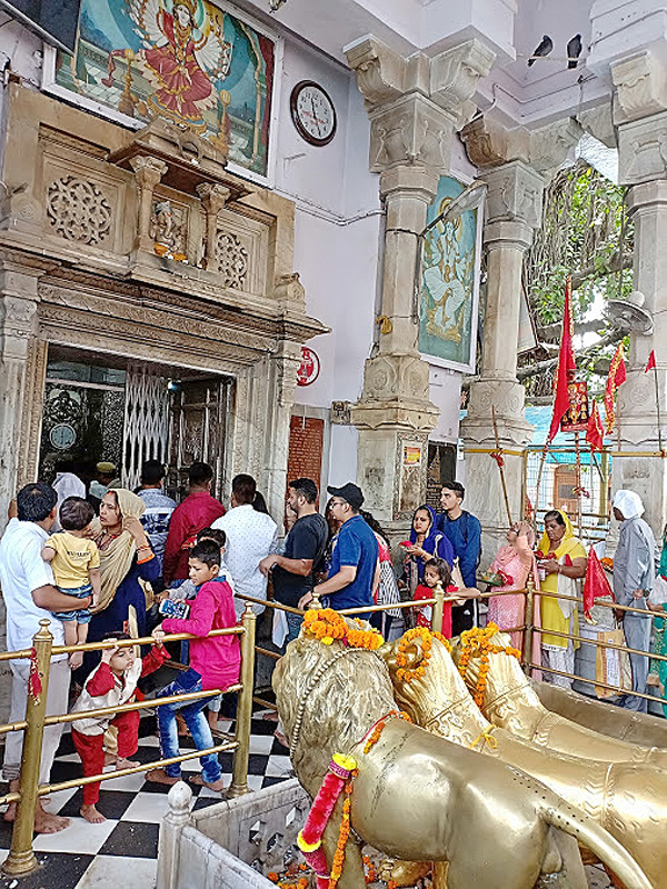 Devotees Gathered at Nagarkot Mata Shri Brajeshwari Temple नगरकोट माता श्री ब्रजेश्वरी मंदिर में उमड़े श्रद्धालु