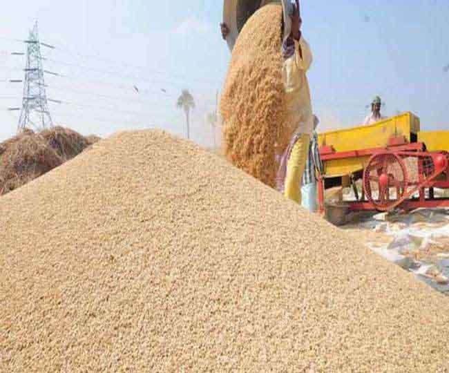 हिमाचल के किसान अब पंजाब में नहीं बेच पाएंगे गेहूं की फसल ,प्रदेश में होगी खरीद  Wheat Procurement Centers Established