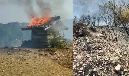 नेरवा में शिरगुल देवता का मंदिर जल कर राख