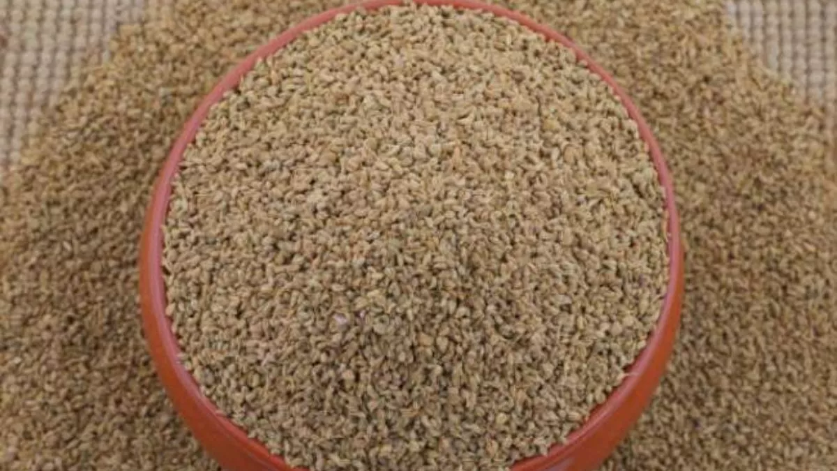 Uses of Ajwain: अपनी डाइट में शामिल करें अजवाइन, होंगे ये फायदे