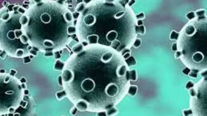 Coronavirus in Himachal: हिमाचल प्रदेश में बीते 24 घंटे में कोरोना के 414 मामले, संक्रमितों की संख्या 1926 हुई