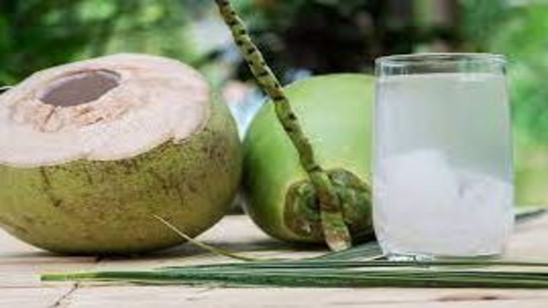 Benefits Of Coconut Water: गर्मियों में नारियल पानी का जरूर करें सेवन, हाइड्रेटेशन के साथ मिलेंगे और भी तरह के कई फायदें