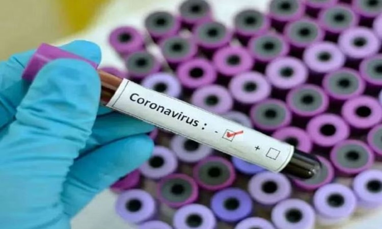 Coronavirus in Himachal: हिमाचल में अब कम हो रहें कोरोना के मामले, इस चलते मौत के आंकड़ों में आई गिरावट