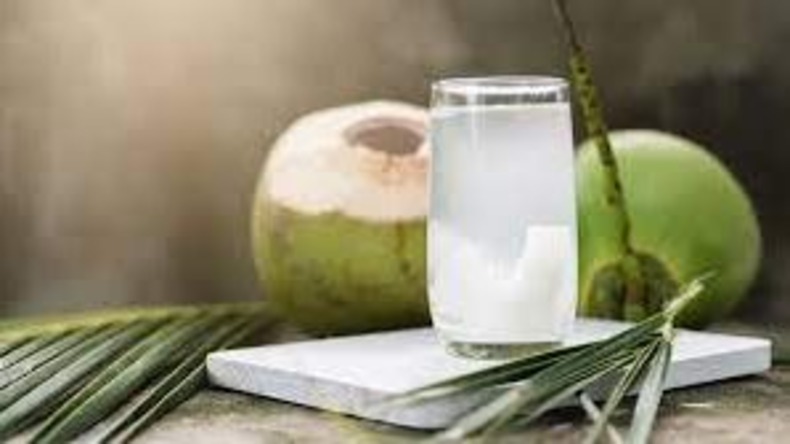 Coconut Water: गर्मियों में नारियल पानी जरूर पीएं, क्योंकि इससे मिलेंगे कई फायदें