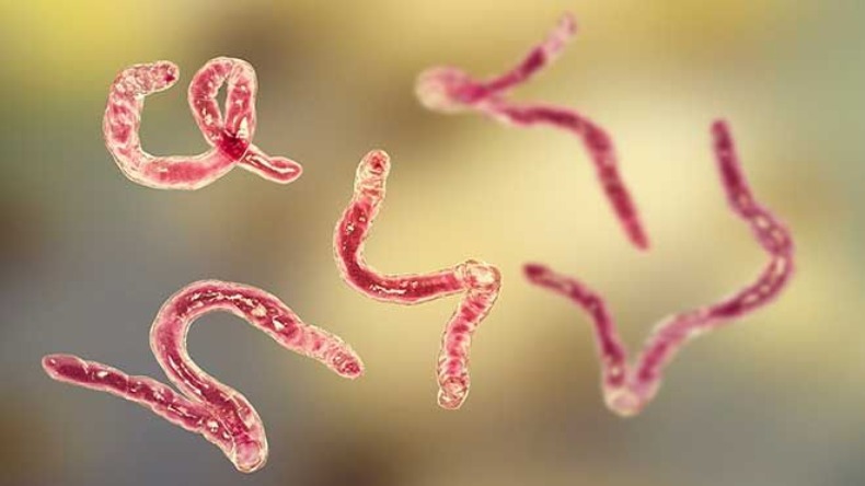 Worm Infection In Kids: अगर आपको बच्चे के पेट में कीड़े पड़े होने का हो शक तो ऐसे करें पहचान