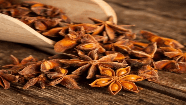 Star Anise Benefits : क्या आप जानते हैं मसाले के साथ सेहत का खजाना भी है चक्र फूल, आयुर्वेदिक गुणों  से  है ये भरपूर