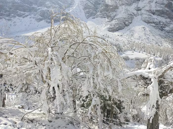 Himachal wheather:  लगातार बदल रहा है मौसम का मिजाज, लाहौल-स्पीति में  हुई ताजा बर्फबारी