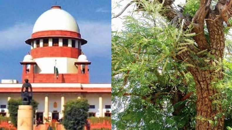 Supreme court: हिमाचल को खैर के पेड़ काटने के लिए सुप्रीम कोर्ट से मिली परमिशन