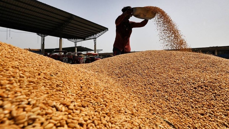 Wheat Procurement: हिमाचल में किसानों के लिए खराब मौसम बना परेशानी का कारण, अब 10 जून तक ही होगी गेहूं की खरीद