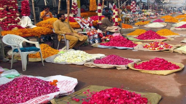 Flower Market: हिमाचल की पहली फूल मंडी बंद, अब फूल मंडी को किया जा रहा हैं इसके साथ मर्ज