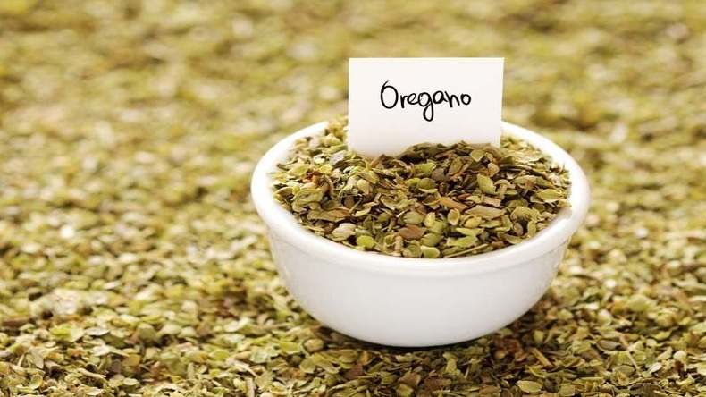 Benefits Of Oregano: ऑरिगेनो सिर्फ अच्छा टेस्ट ही नहीं बल्कि हेल्थ बेनिफिट्स के लिए भी जाना जाता है, जानें इस खाने के क्या हैं फायदे