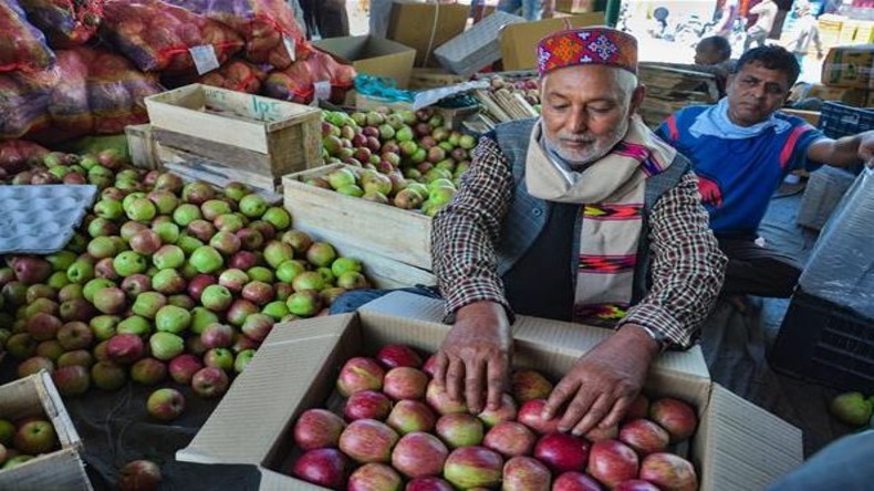 Himachal Apple Season: सेब के कारोबार में नुकसान का अंदेशा, मामले पर आढ़तियों का पलायन