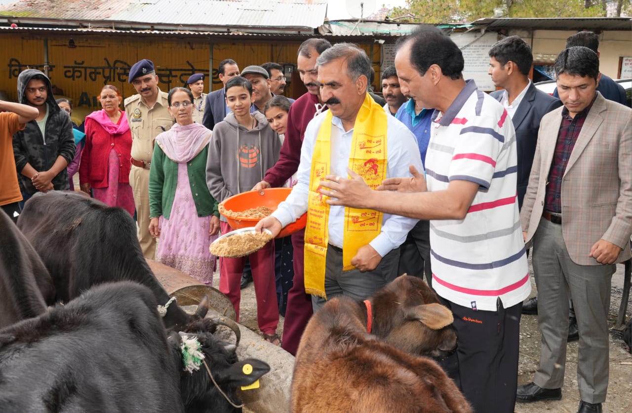 Cm Sukhu:  सीएम सुक्खू ने टूटू में श्री कामनापूर्ण गौशाला का किया निरीक्षण