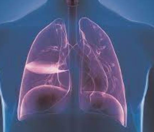 Lower Respiratory Infection: एक खतरनाक सांस तंत्र संक्रमण, जानिए इसके बारे में