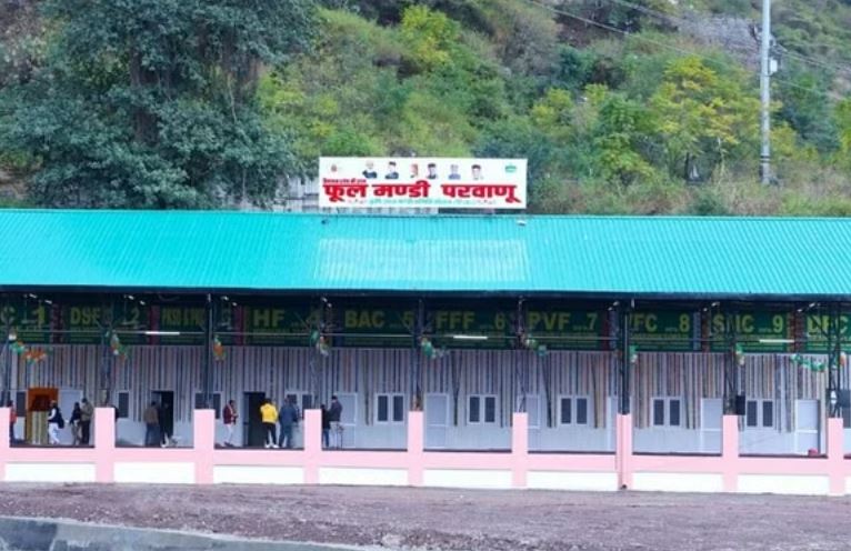 Solan News:  हिमाचल की फूल मंडी हुई बंद, अब ई-नेम पोर्टल के जरिये होगी प्याज की बिकरी