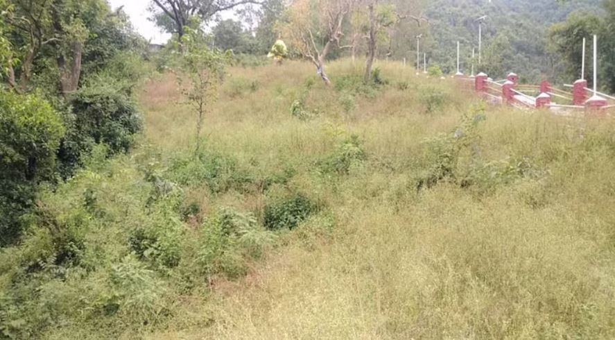 Herbal Garden: हिमाचल के धार्मिक व पर्यटन स्थल अब औषधीय पौधों की सुगंध से महकेंगे