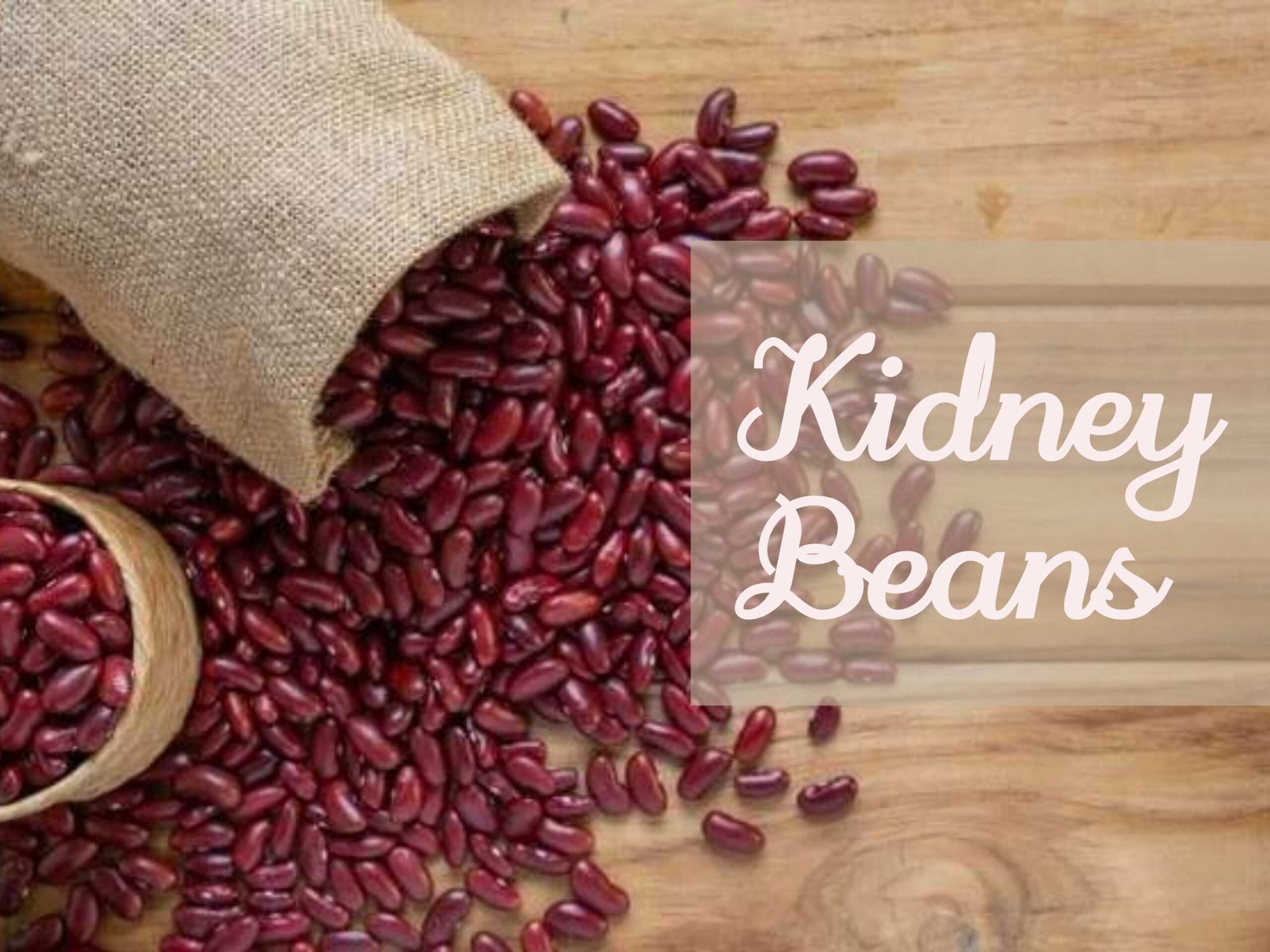 Kidney Beans:  कच्चा खाओ तो बीमार होने की आशंका; पक्का खाने से बीमारियां, जानें इसका राज