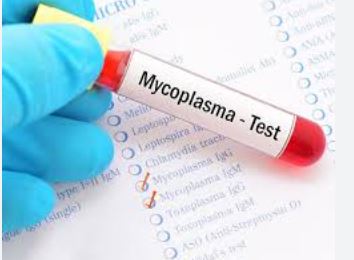 Mycoplasma Pneumoniae: चीन में तहलका मचा रही बीमारी आई दिल्ली? AIIMS में आए 7 माामलों में मिले संकेत