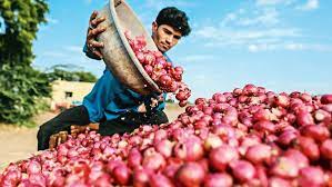 Onion Price: मार्केट में प्याज हुआ 35 रुपए सस्ता, सरकार की शानदार योजना