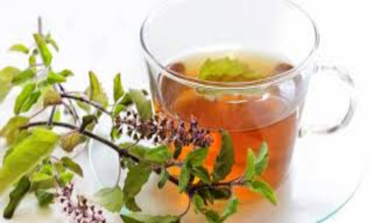 Benefits Of Tulsi: तुलसी के ये फायदे जान दंग रह जाएंगे आप, वजन घटाने में असरदार