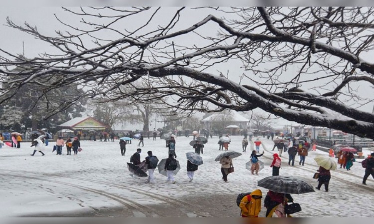 Himachal Pradesh Weather: Snowfall गिरने से हिमाचल प्रदेश की बढ़ी सुंदरता, इन सभी शहरों में हुई बर्फबारी