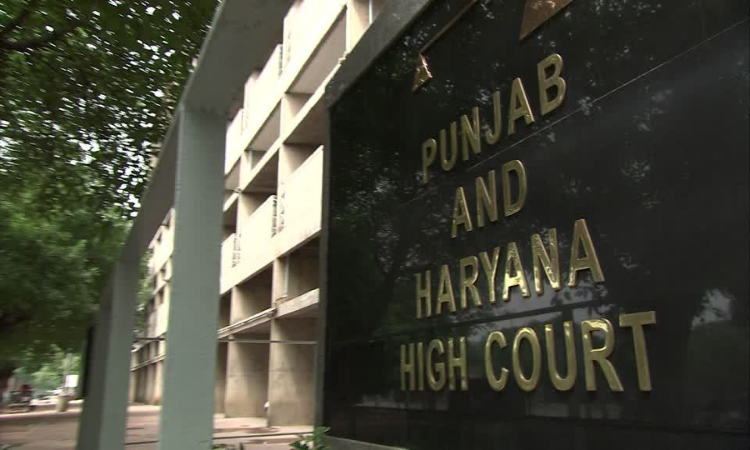 Punjab Haryana HC: हाई कोर्ट ने किया सरकार से सवाल, पंजाब में कितने लोगों को है नशे की लत?