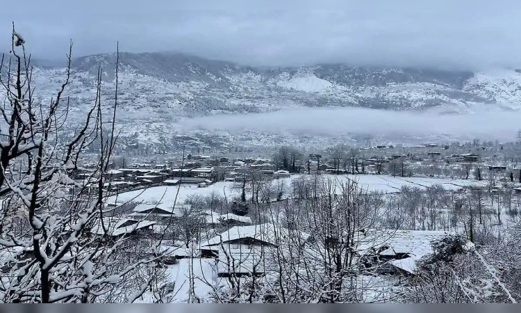 Himachal Pradesh Weather Update: हिमाचल प्रदेश में शीतलहर का दौर जारी, 130 सड़कें बंद