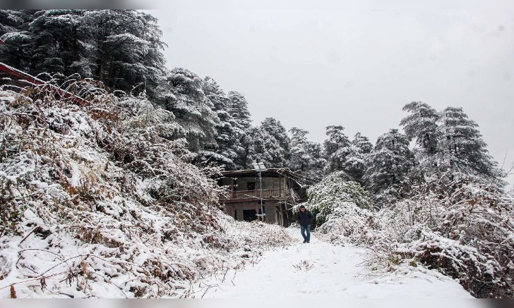 Himachal Pradesh Weather Update: हिमाचल प्रदेश में कैसा रहेगा आज के मौसम का मिजाज , जानें यहां