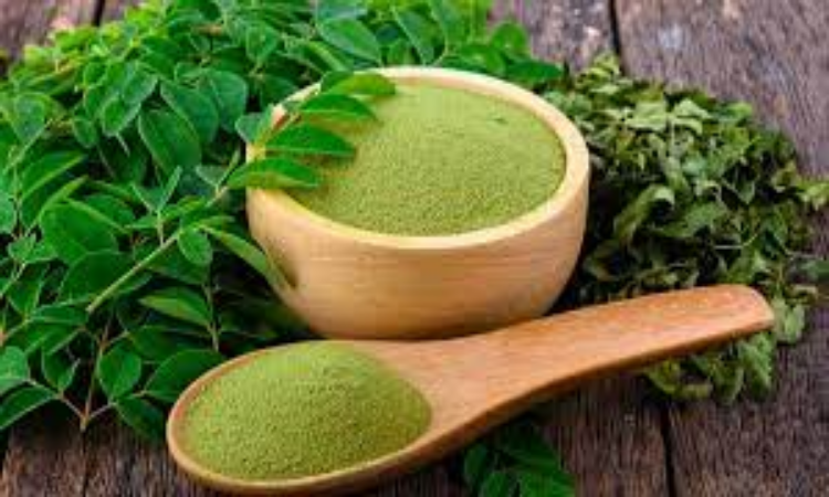 Moringa Benefits: मोरिंगा के फायदे जान दंग रह जाएंगे, ऐसे करें ऐसे करें अपनी डाइट में शामिल