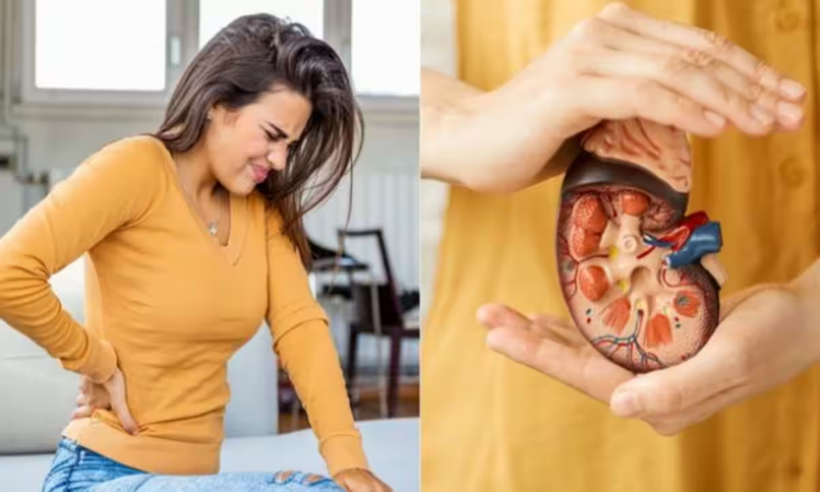 Kidney Disease: किडनी की गंदगी को करनी है साफ? डाइट में इन फूड्स का करें इस्तेमाल