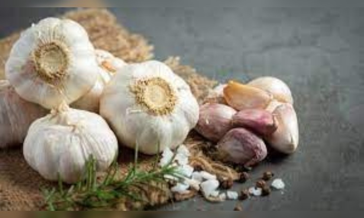 Garlic: सेहत के लिए वरदान हैं लहसुन की पत्तियां, डाइट में ज़रूर करें शामिल