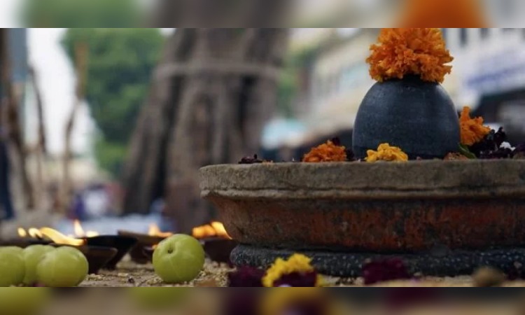 Mahashivratri 2024: भूलकर भी शिवलिंग पर न चढ़ाएं ये फल, नाराज हो सकते हैं महादेव