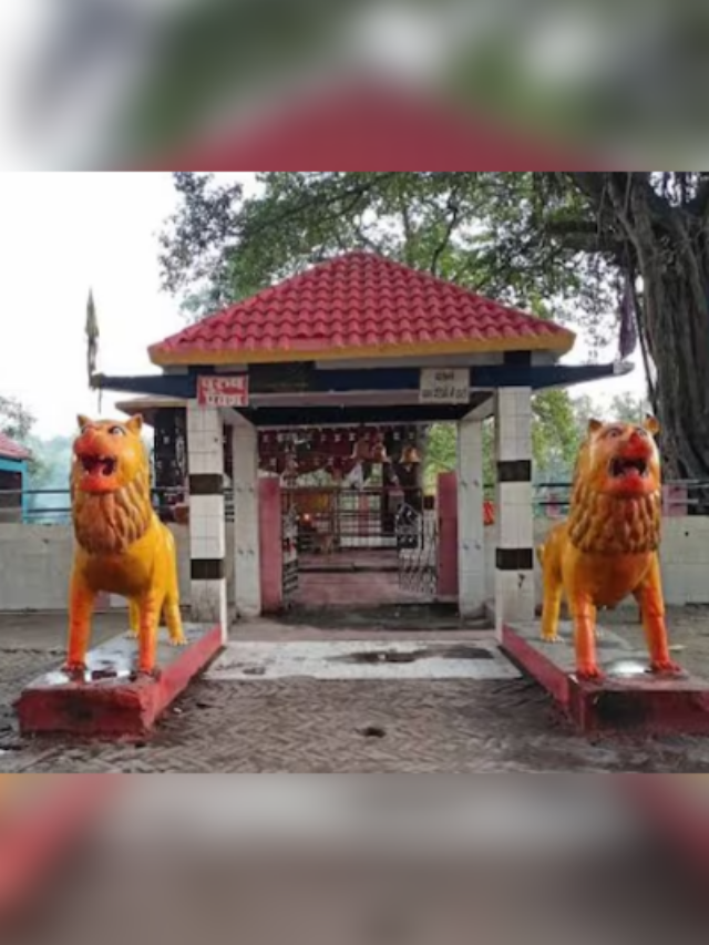 इस मंदिर में माता के पैर छूने आता है शेर