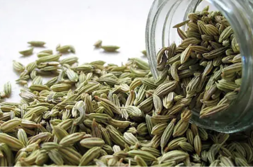 Fennel Benefits: खाने के बाद सौंफ खाने से क्या होता है ? जानिए फायदे और नुकसान