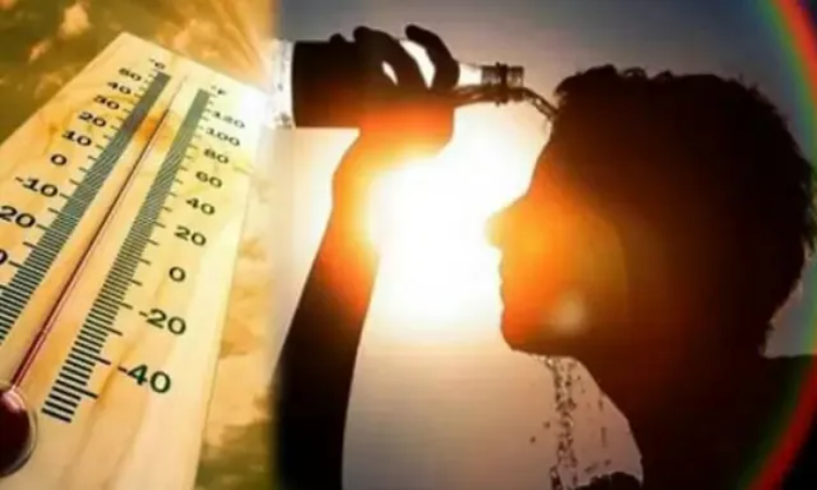 Heatwave: भीषण गर्मी लोगों के दिमाग पर कर रही असर, बिगाड़ रही मेंटल हेल्थ