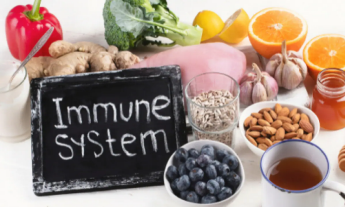 Health News: मानसून में Immunity Booster का काम करते है ये फूड, बीमारियों को रखता है कोसों दूर